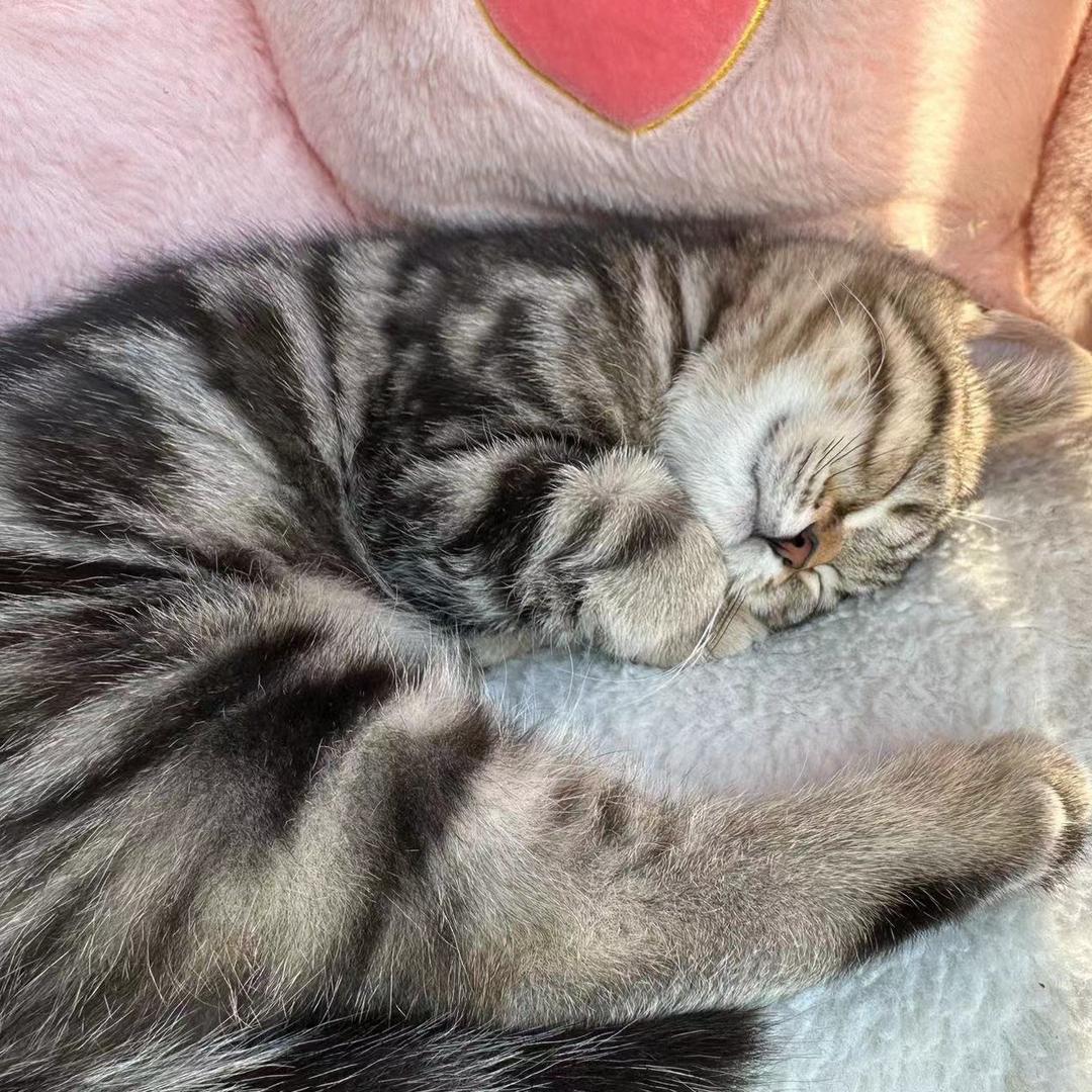 元元圆圆的(见过Jay版)