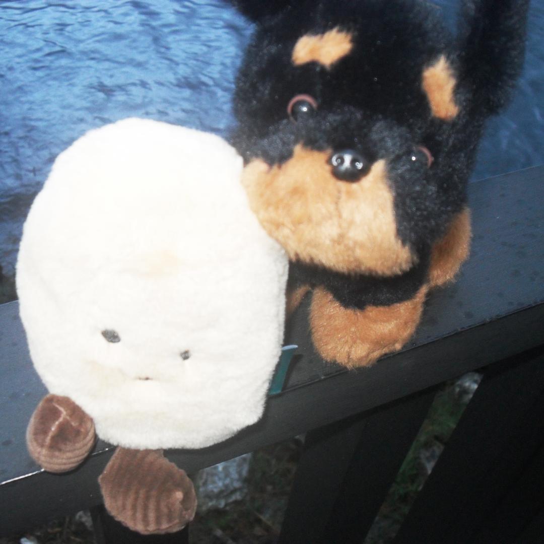 系统欠我退休金