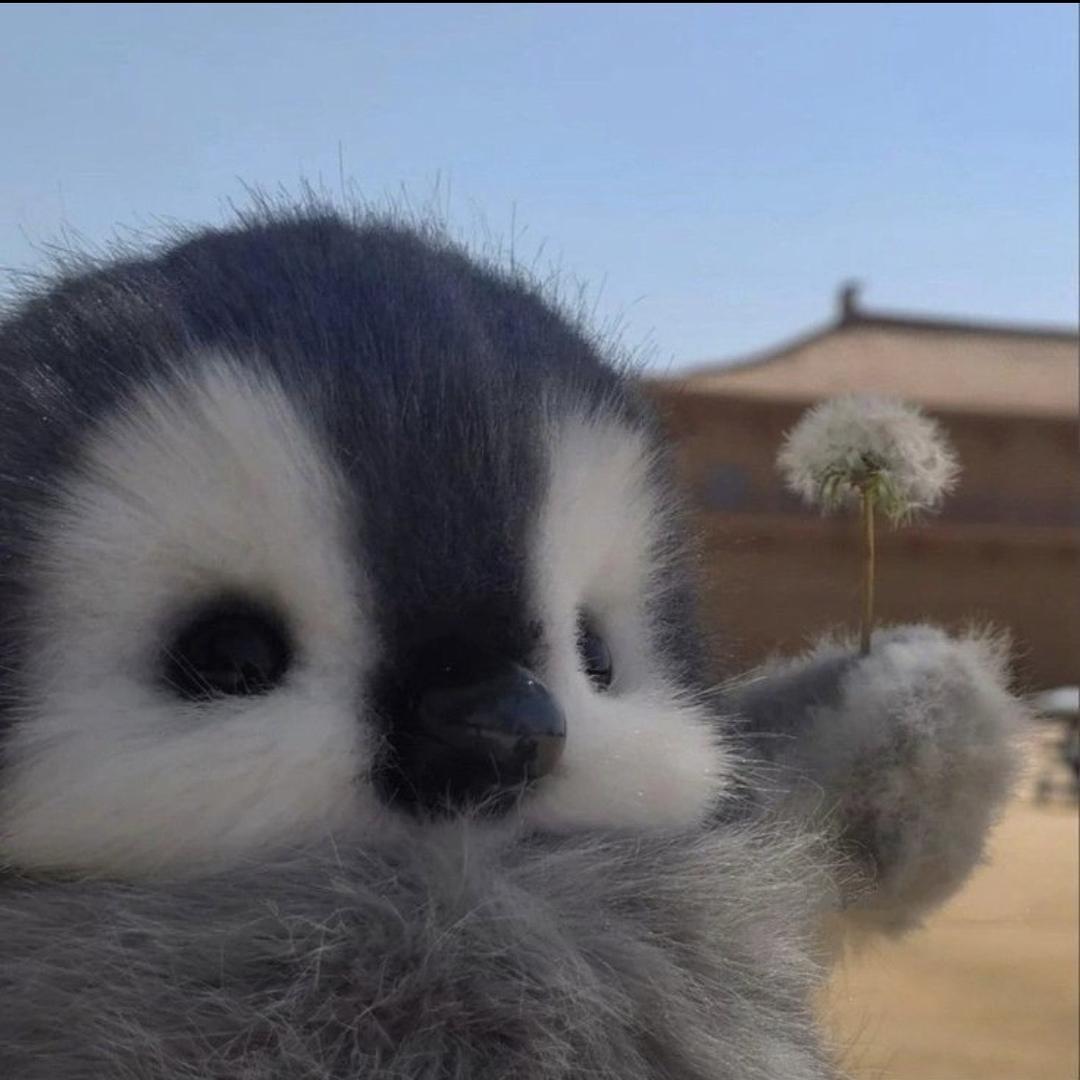 灵感小王