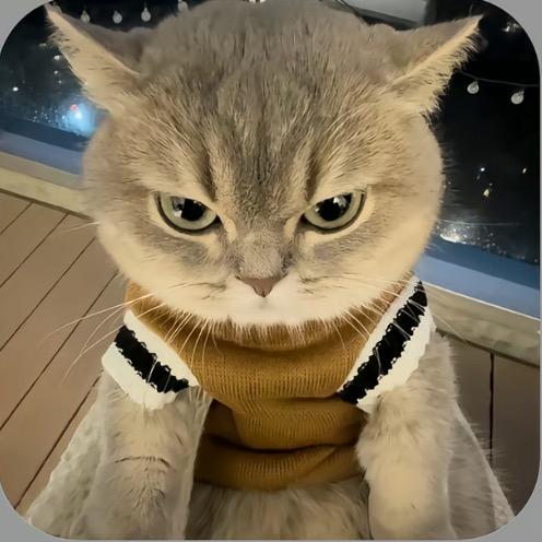 姜子$