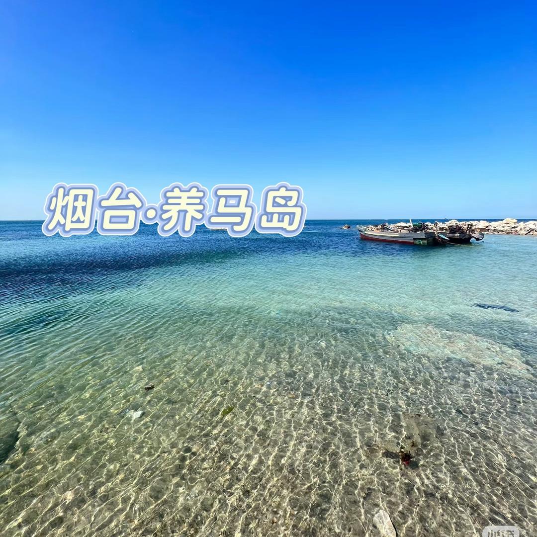 养马岛畅玩心体验