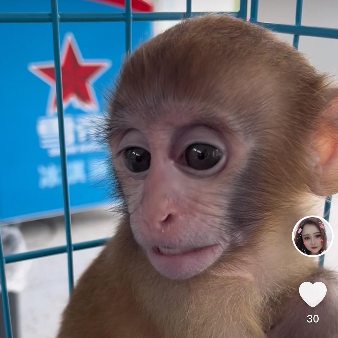 🐒贵港动物园🐒