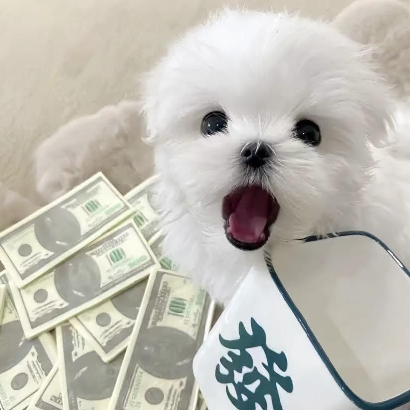 优优