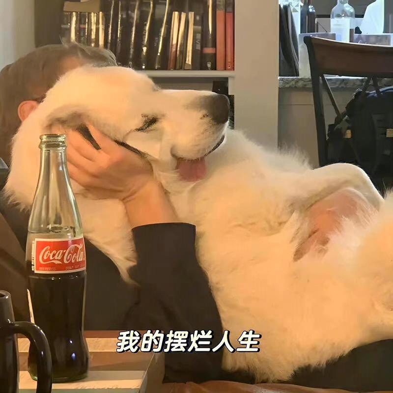 2点还在熬夜呀头像