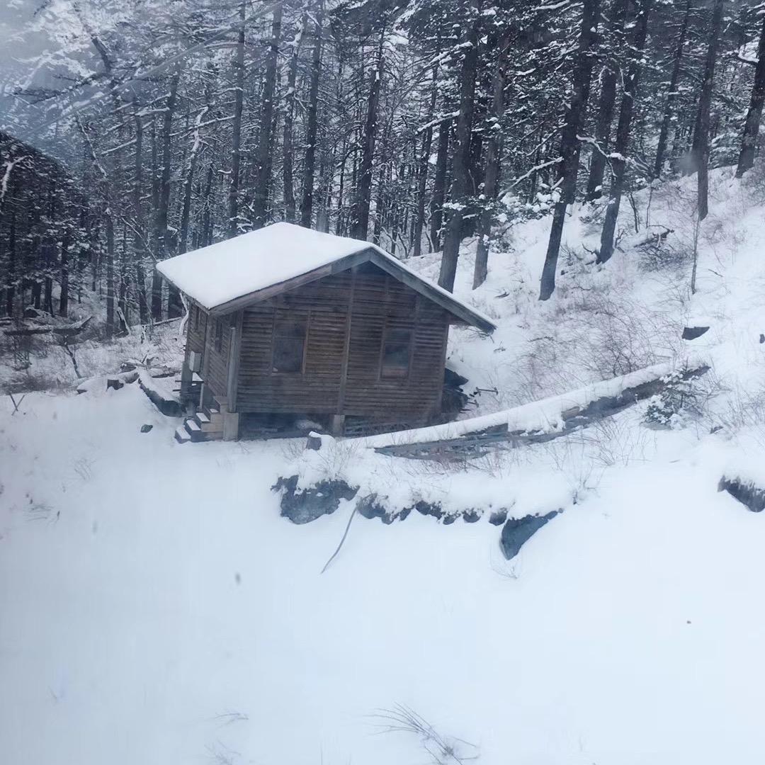 释怀淡然