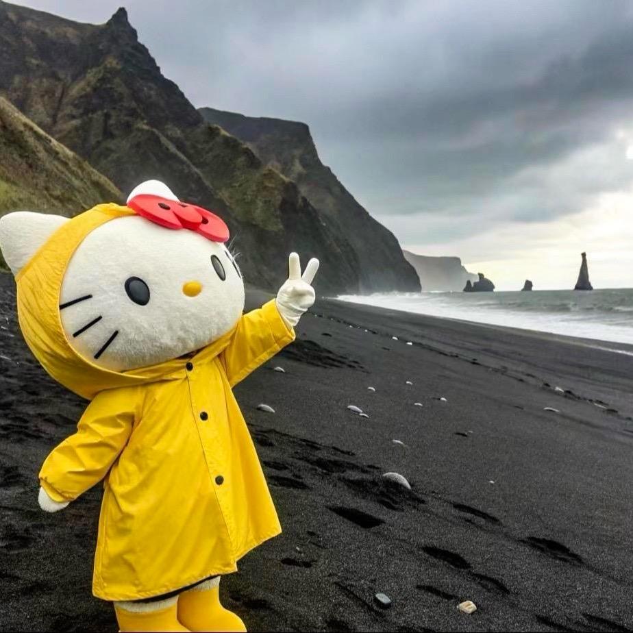 是海燕呀音奇商务