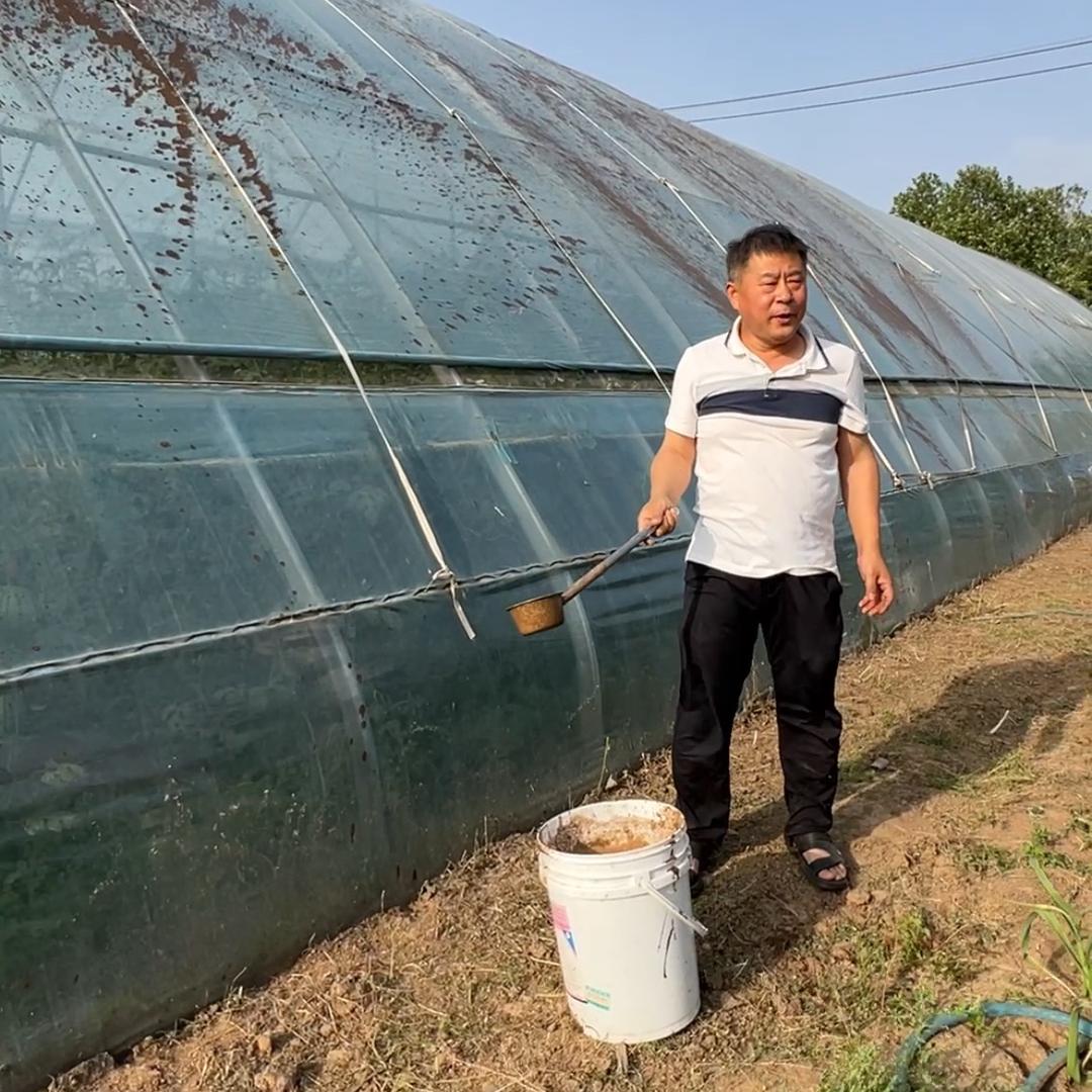 山东砚祥企业店砚祥老师讲农业
