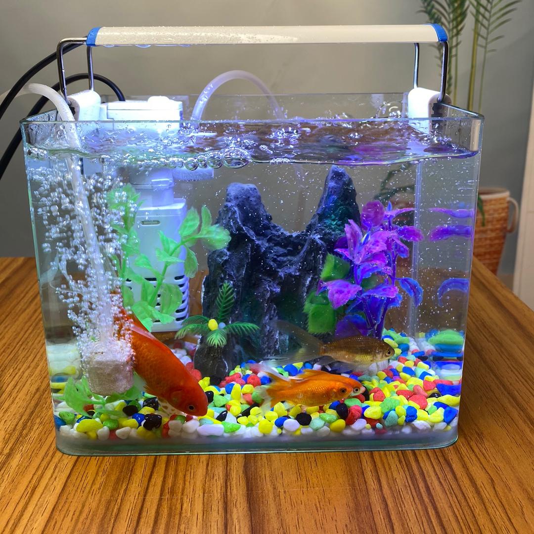 相约水族馆