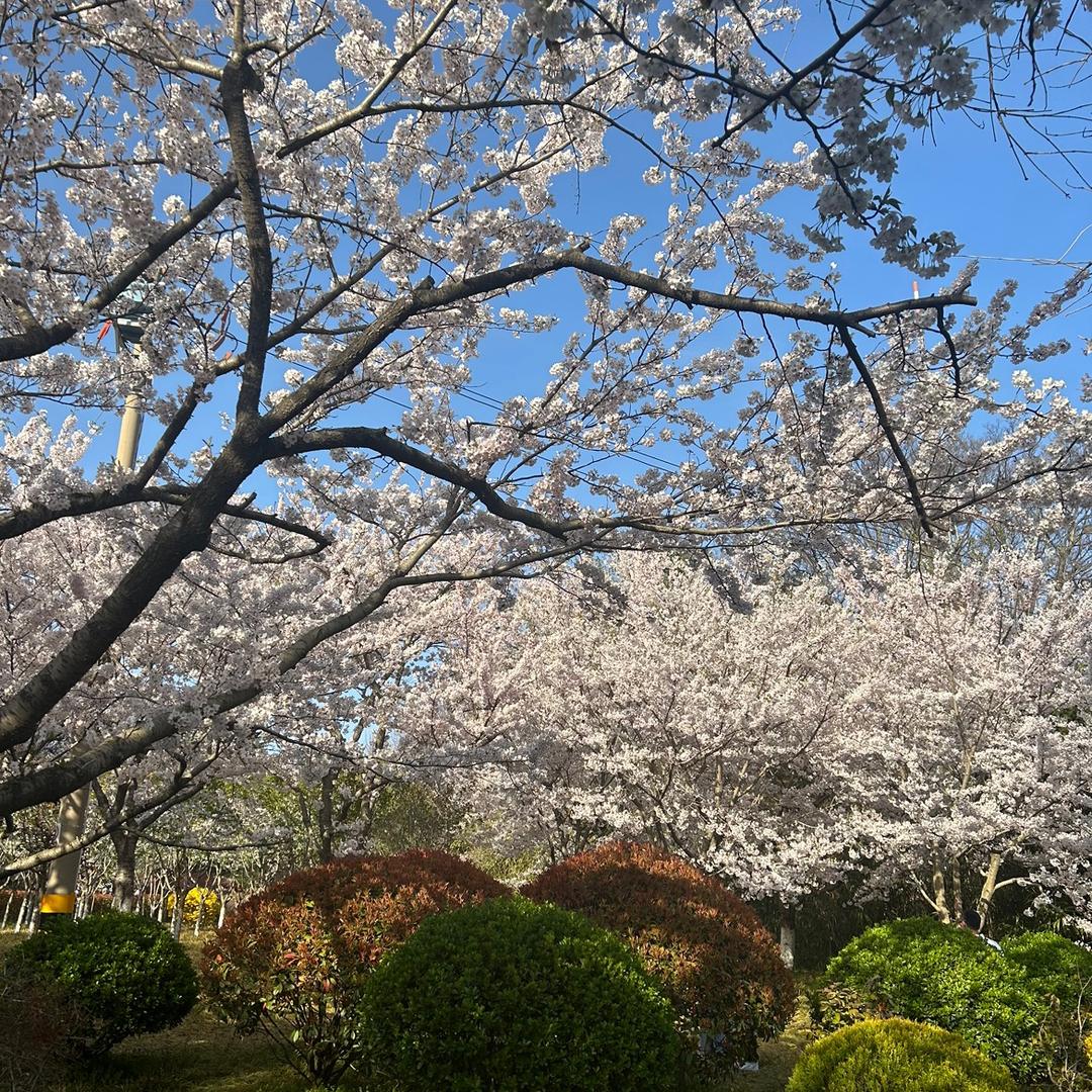 老赵 and 小赵