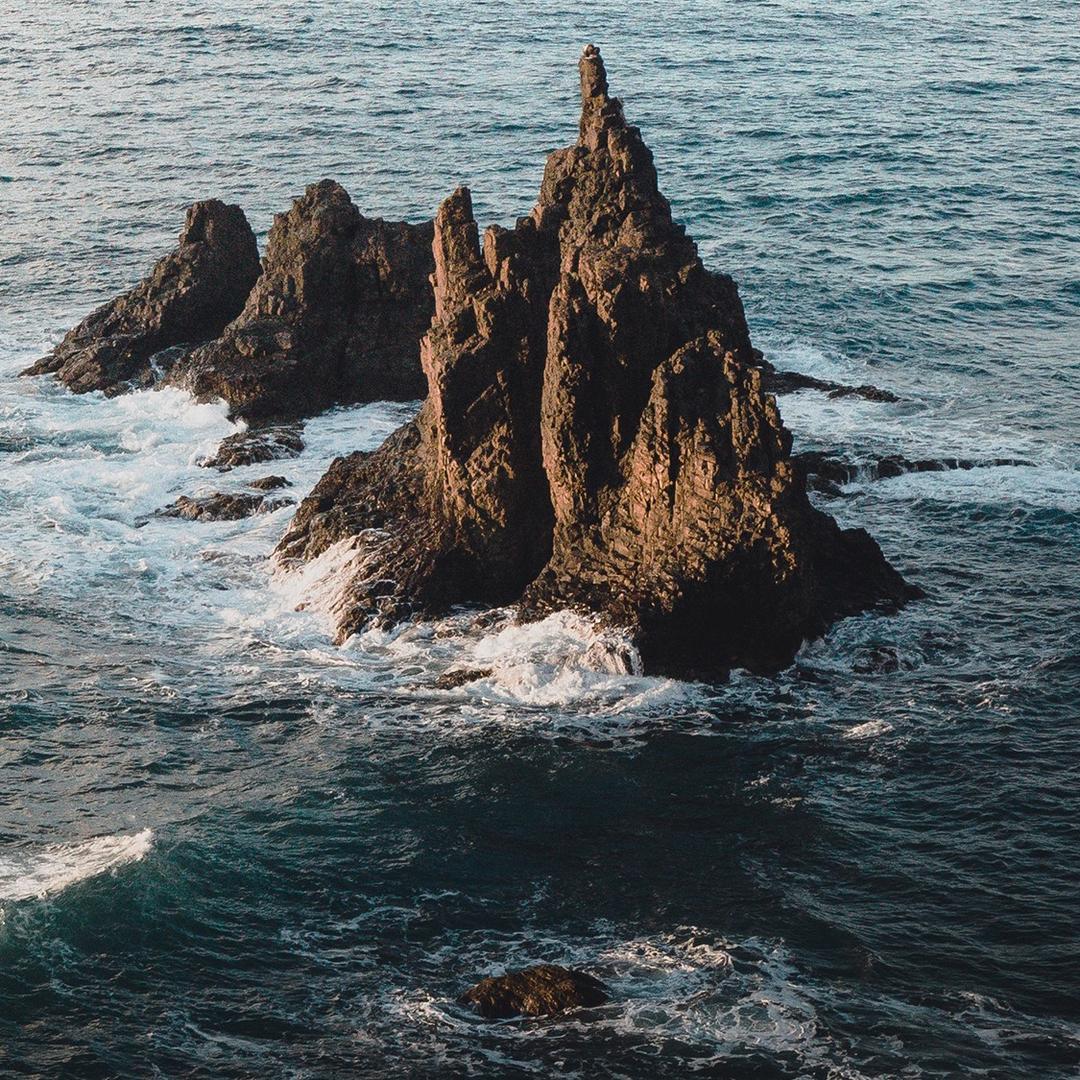 明天。头像