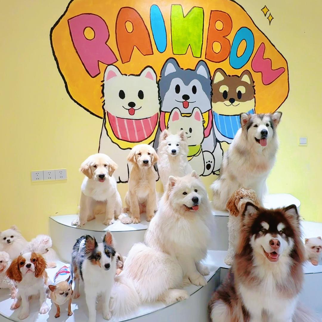 RAINBOW PET 撸宠聚集地