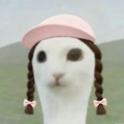 想拥有直角肩🐈