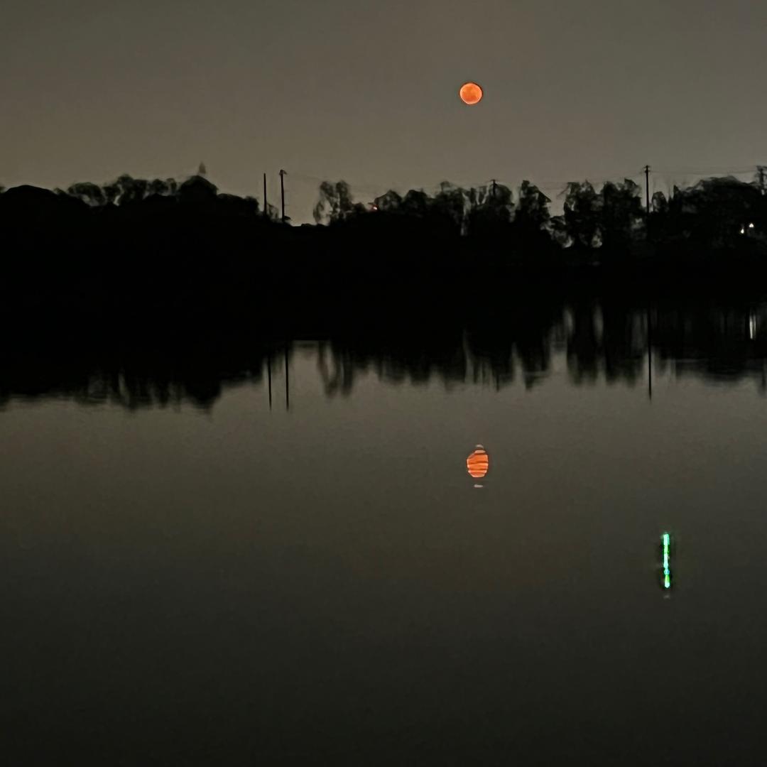 疯狂的坷垃头子