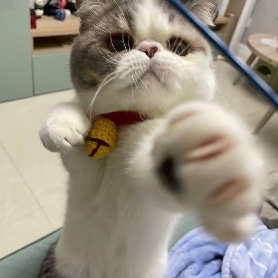 小运小唐