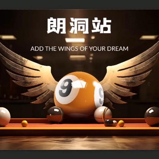 朗洞休闲台球