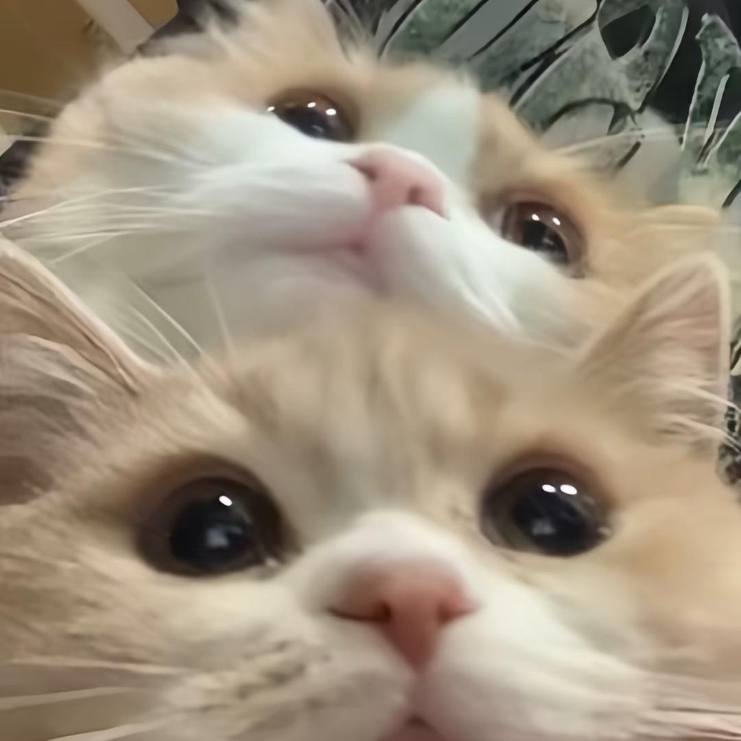 小娜