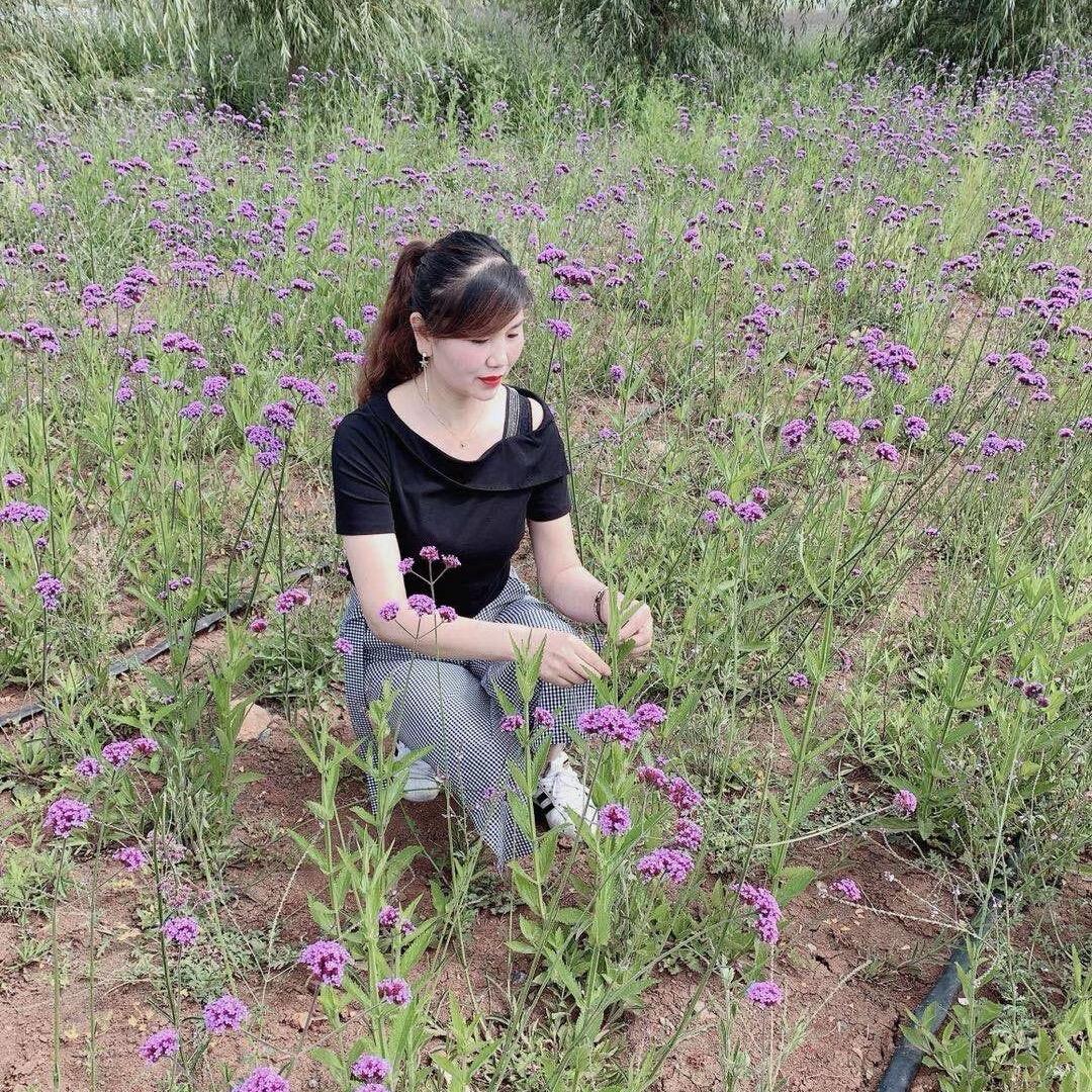 轻放前尘.钱映余生