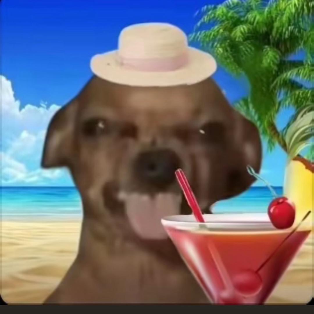梵蒂冈的海角