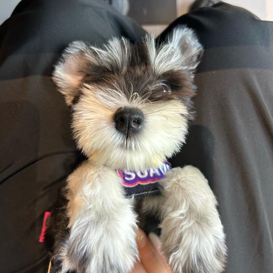 小院长的小秘书