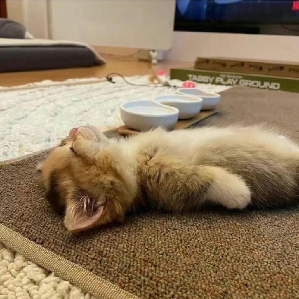 hi