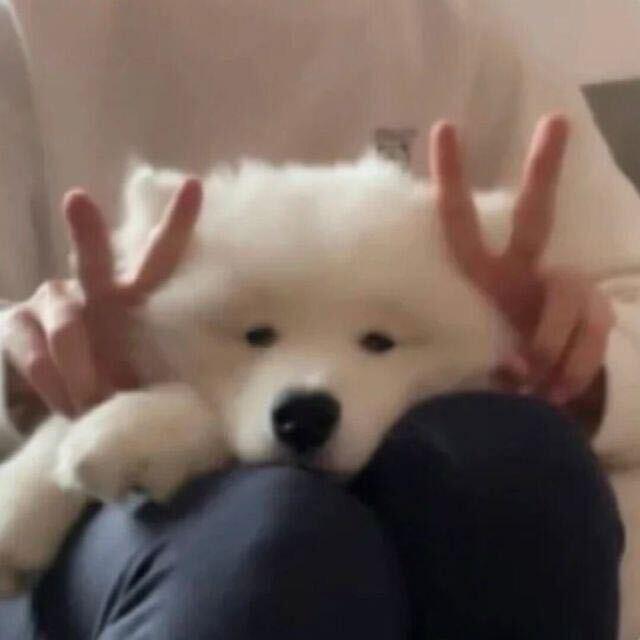 离