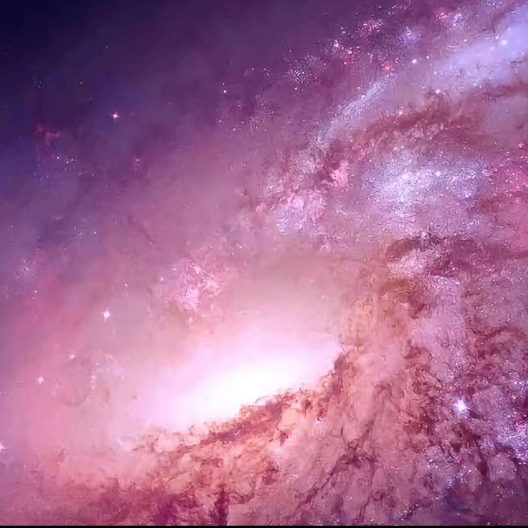 YUHUA与花·花咖花艺美学设计