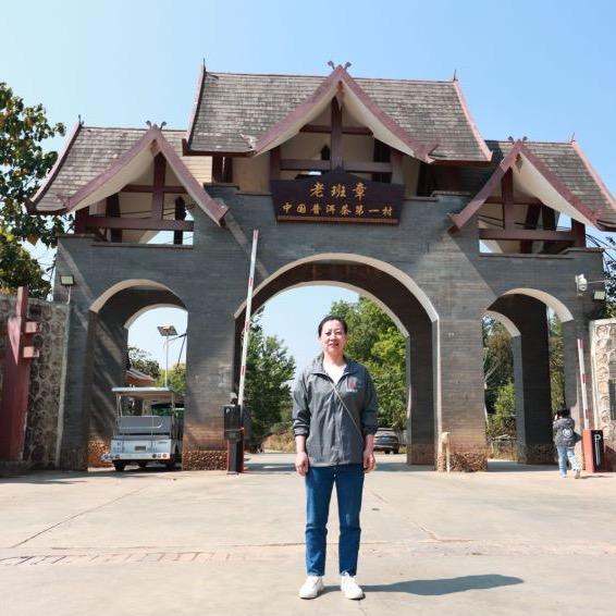 古度.一雨东北区李竹云