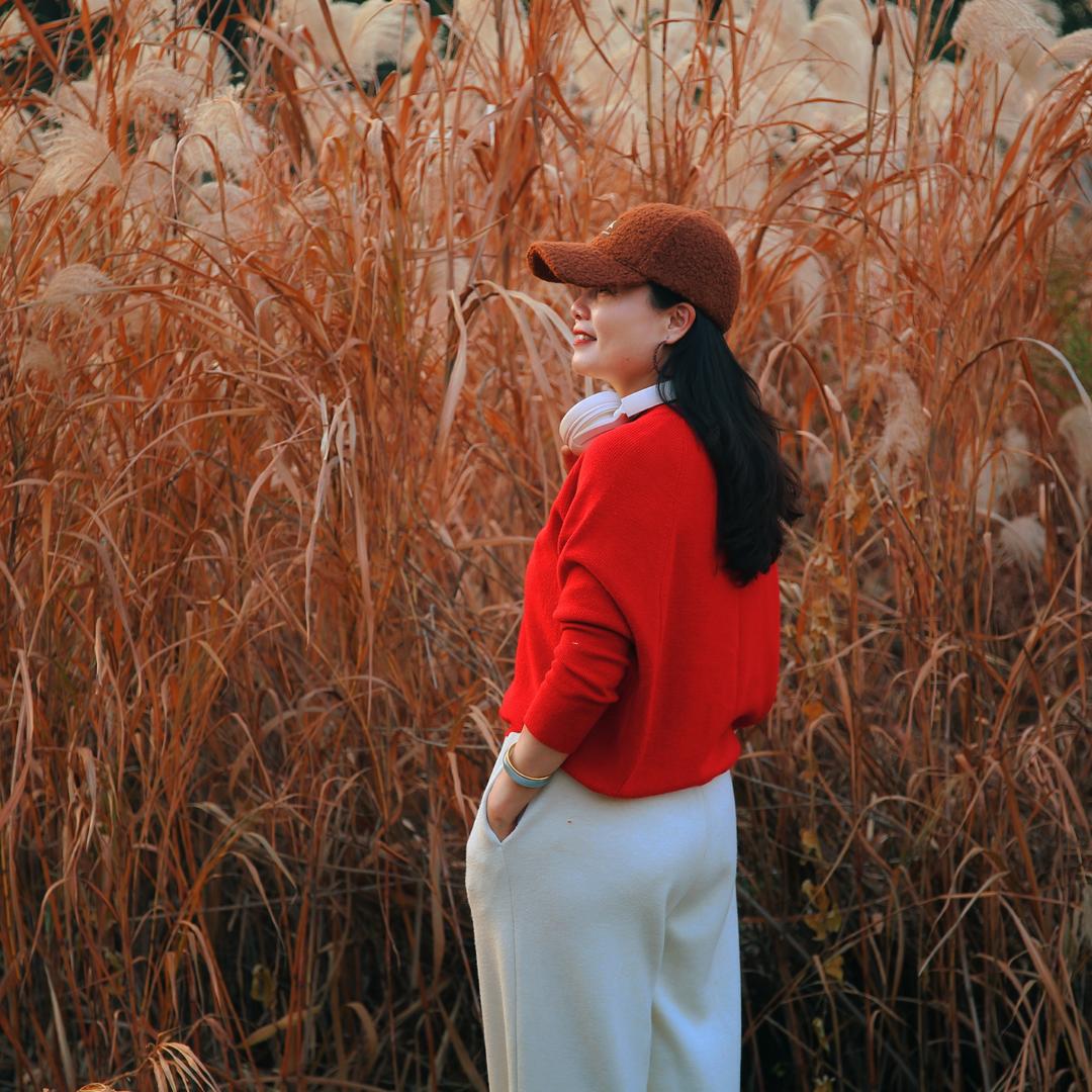 爱上跑步的毛豆