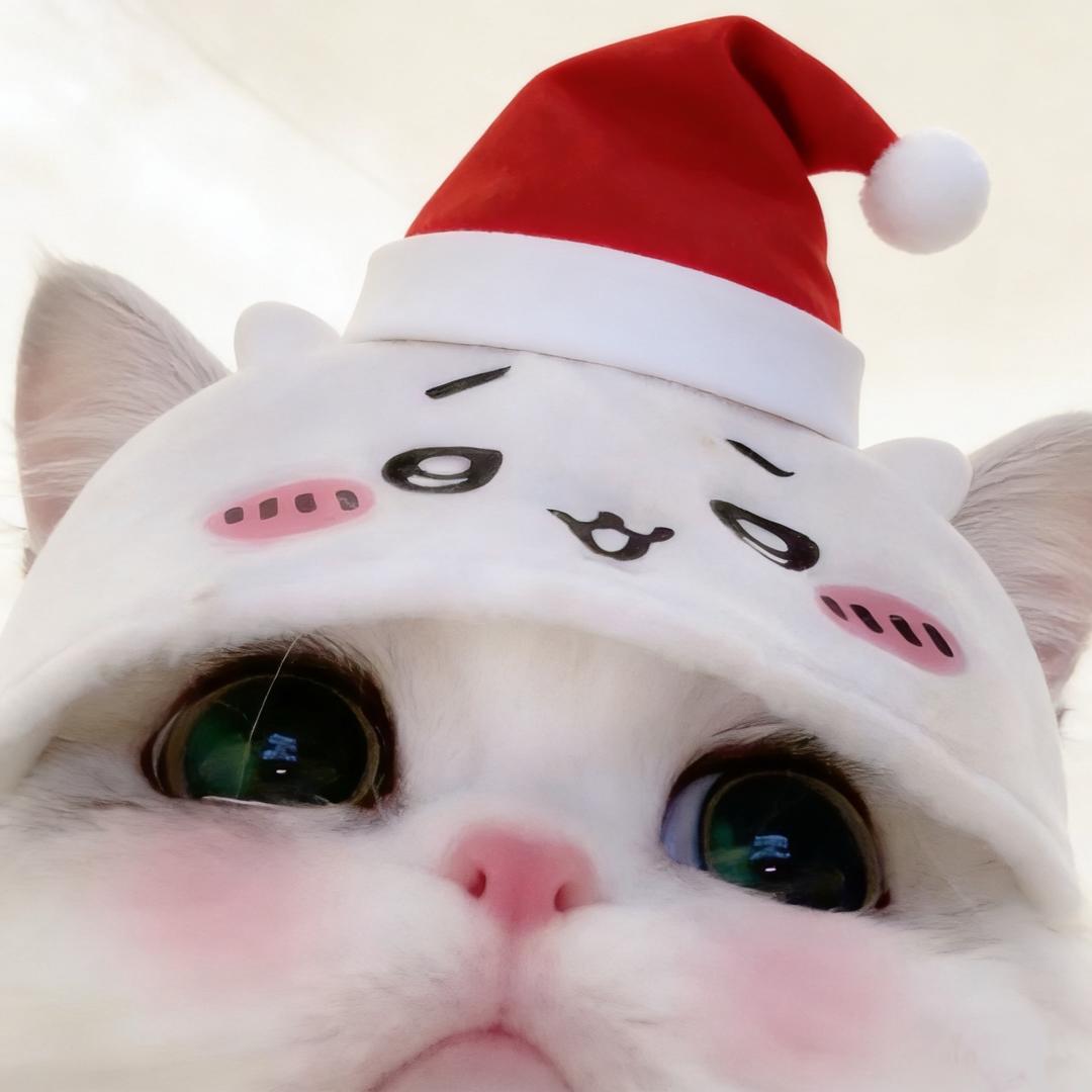 小猪被我吃
