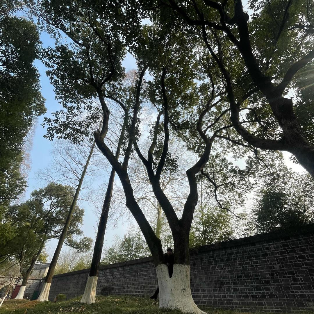 火小娃娃