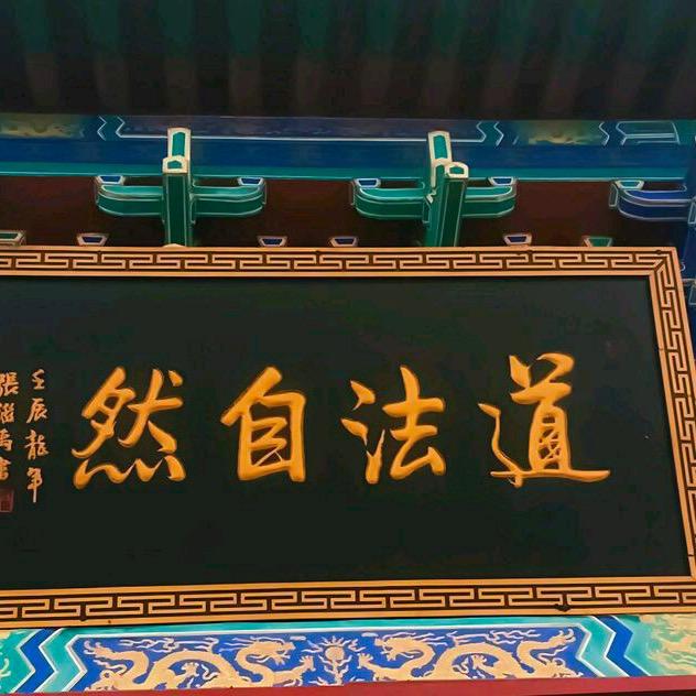 龙的传人