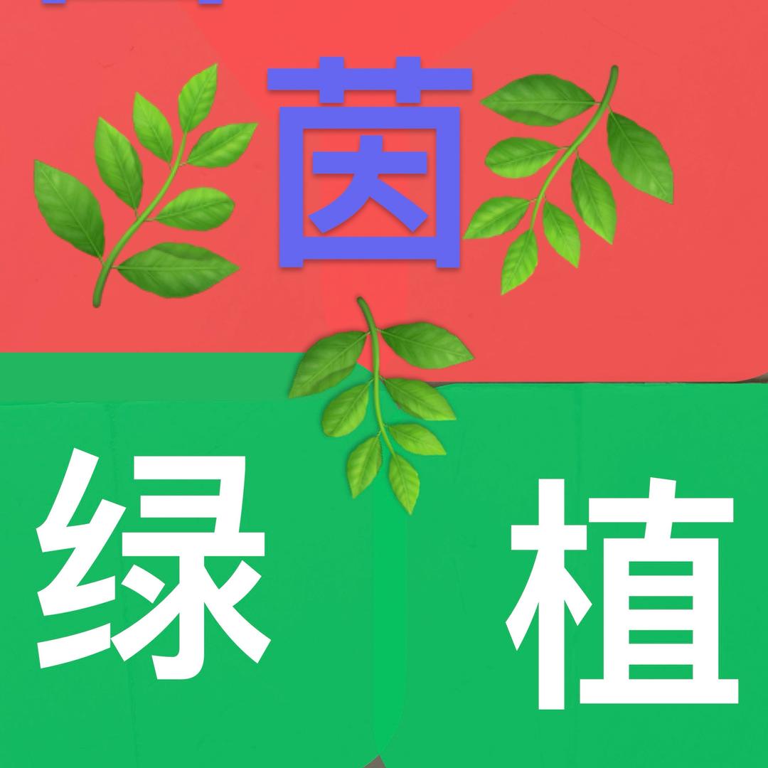 茵茵绿植