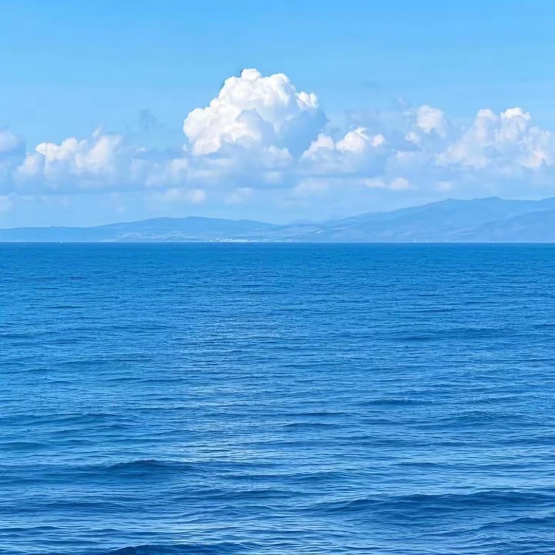 厂家直销摇粒绒外套