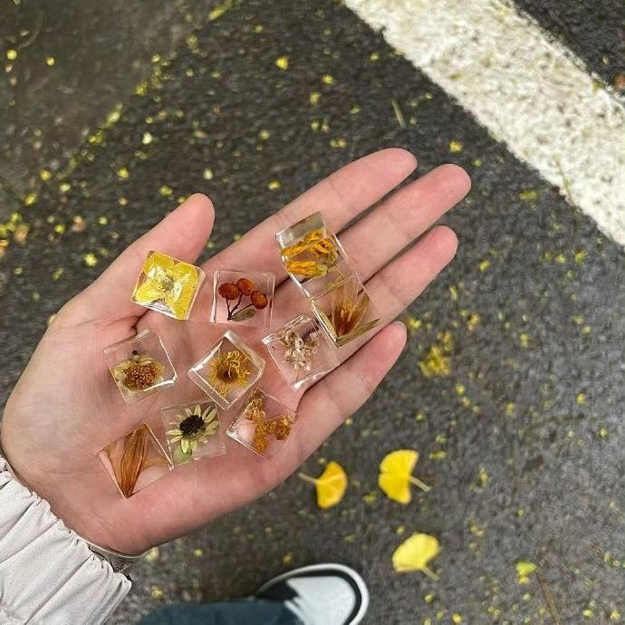 MapleF（回归版