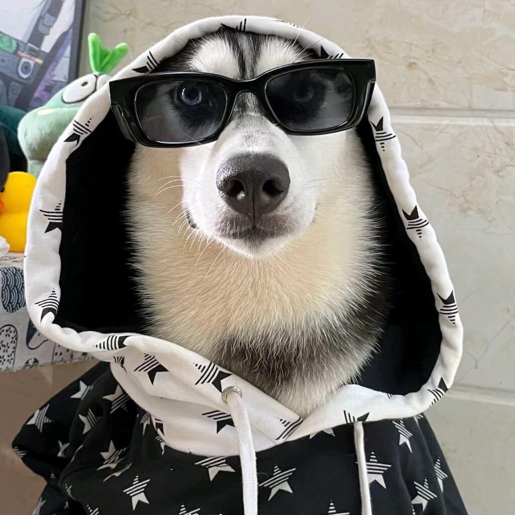 _Cheems 丶