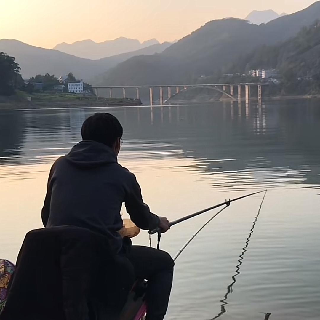 鲤鱼李