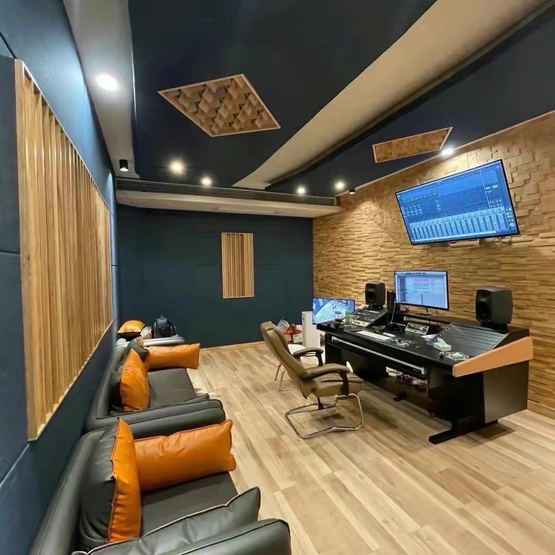 调音师杨哥（电容麦克风维修）