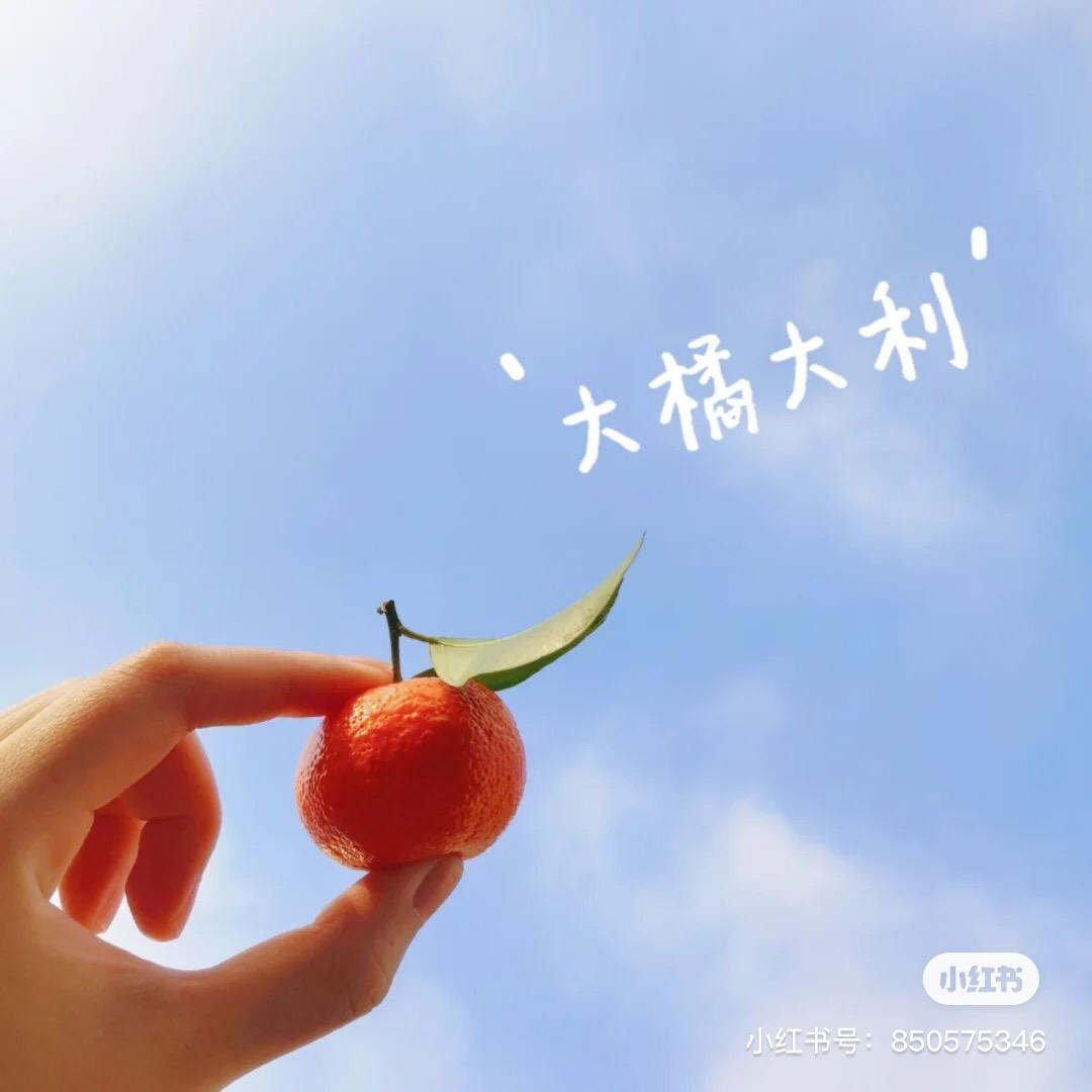 果果好物精品优选