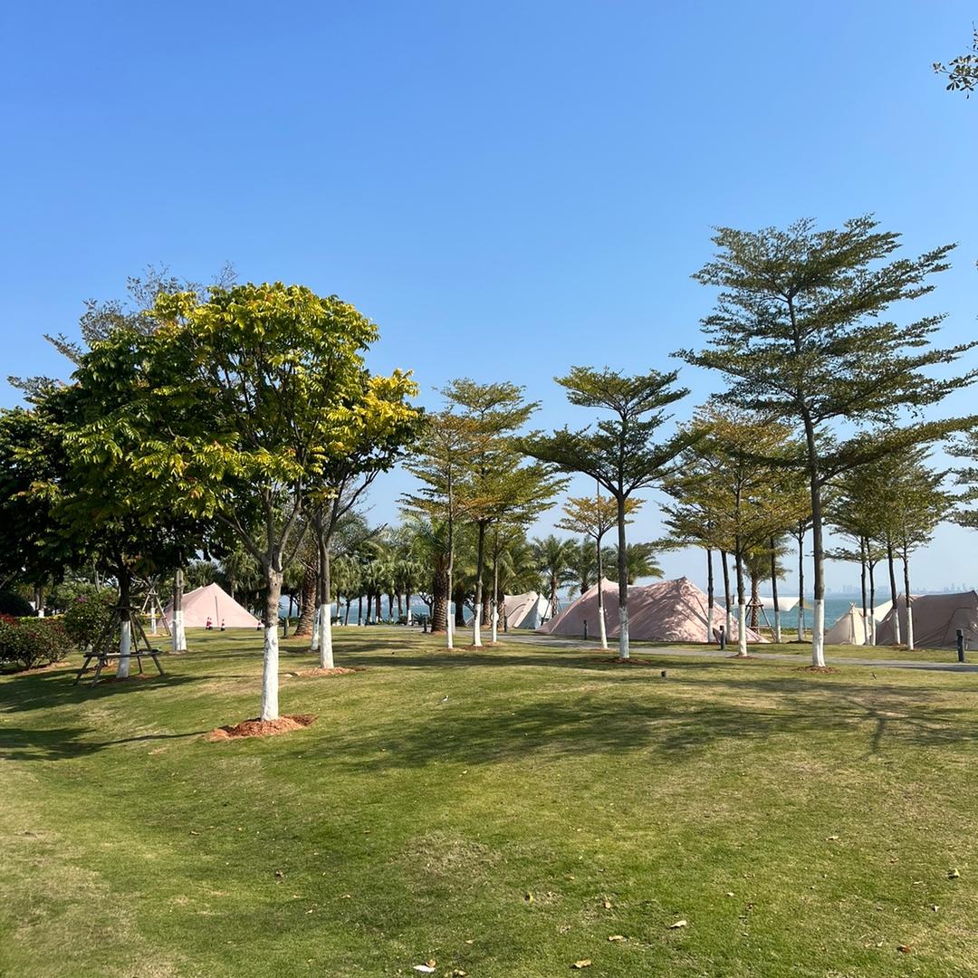 水💧升💰✈️