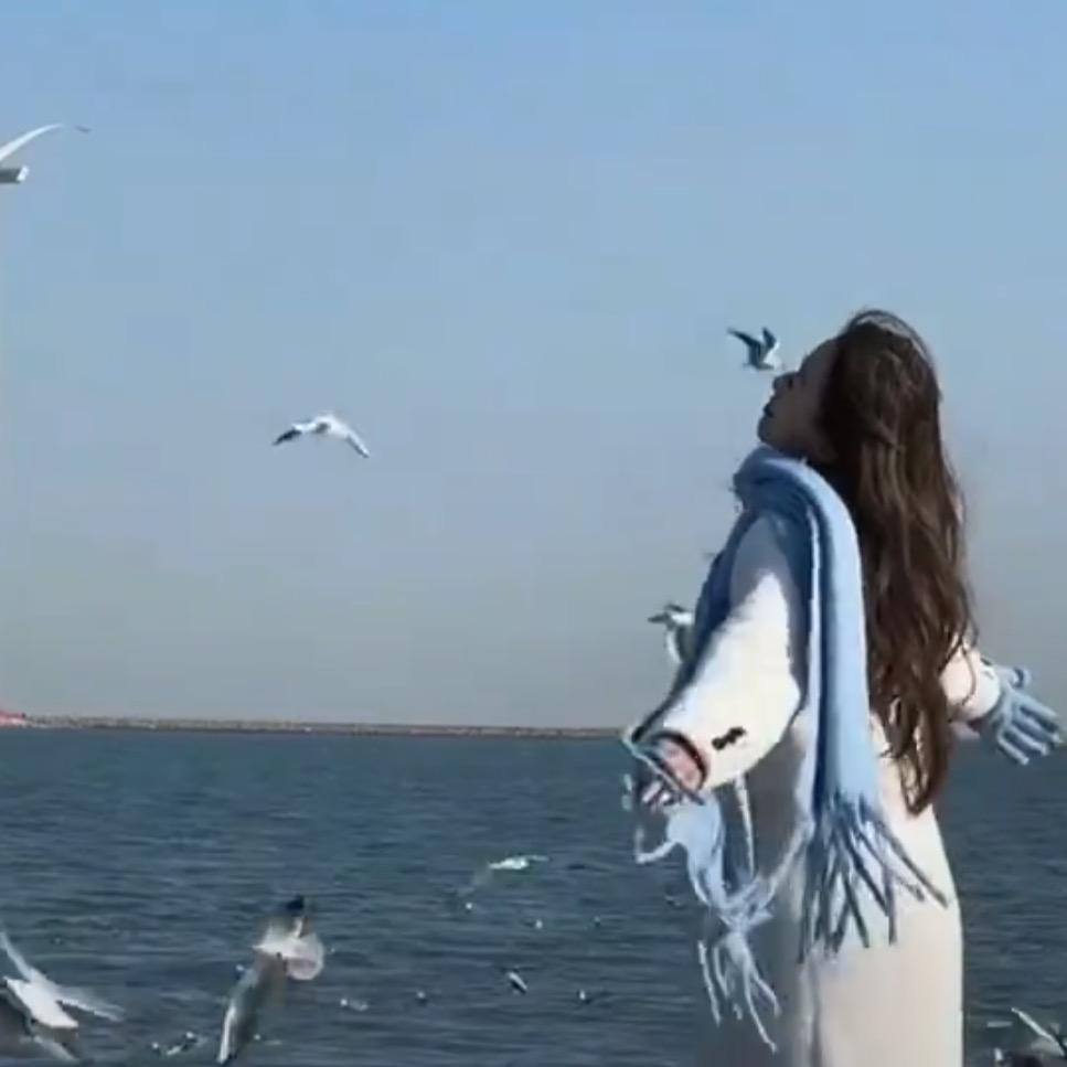 Autumn🦋（备考版）