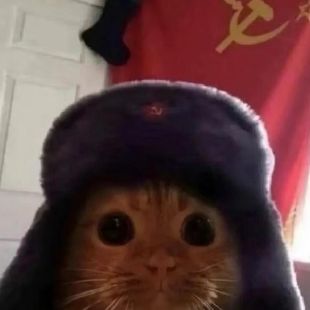 如斯