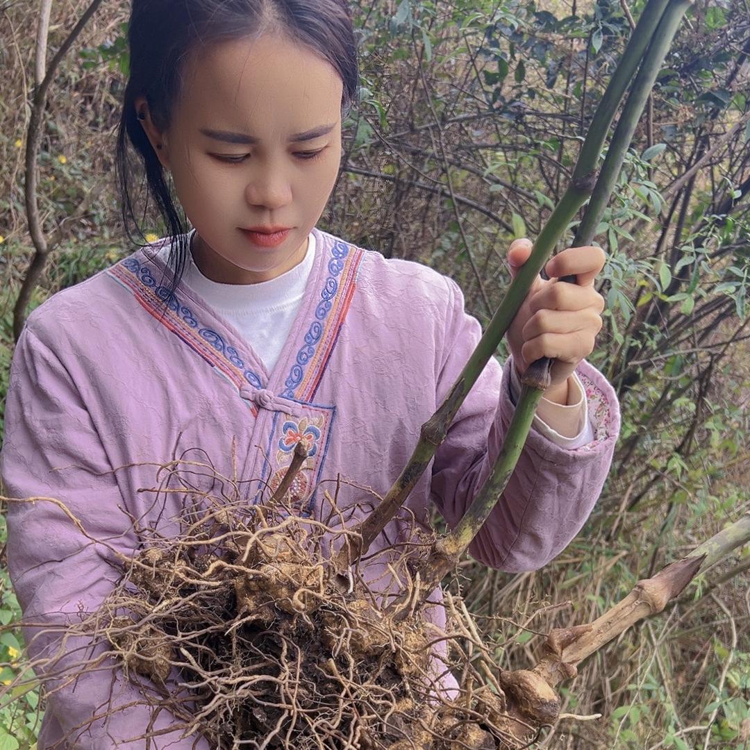 苗老师说苗方