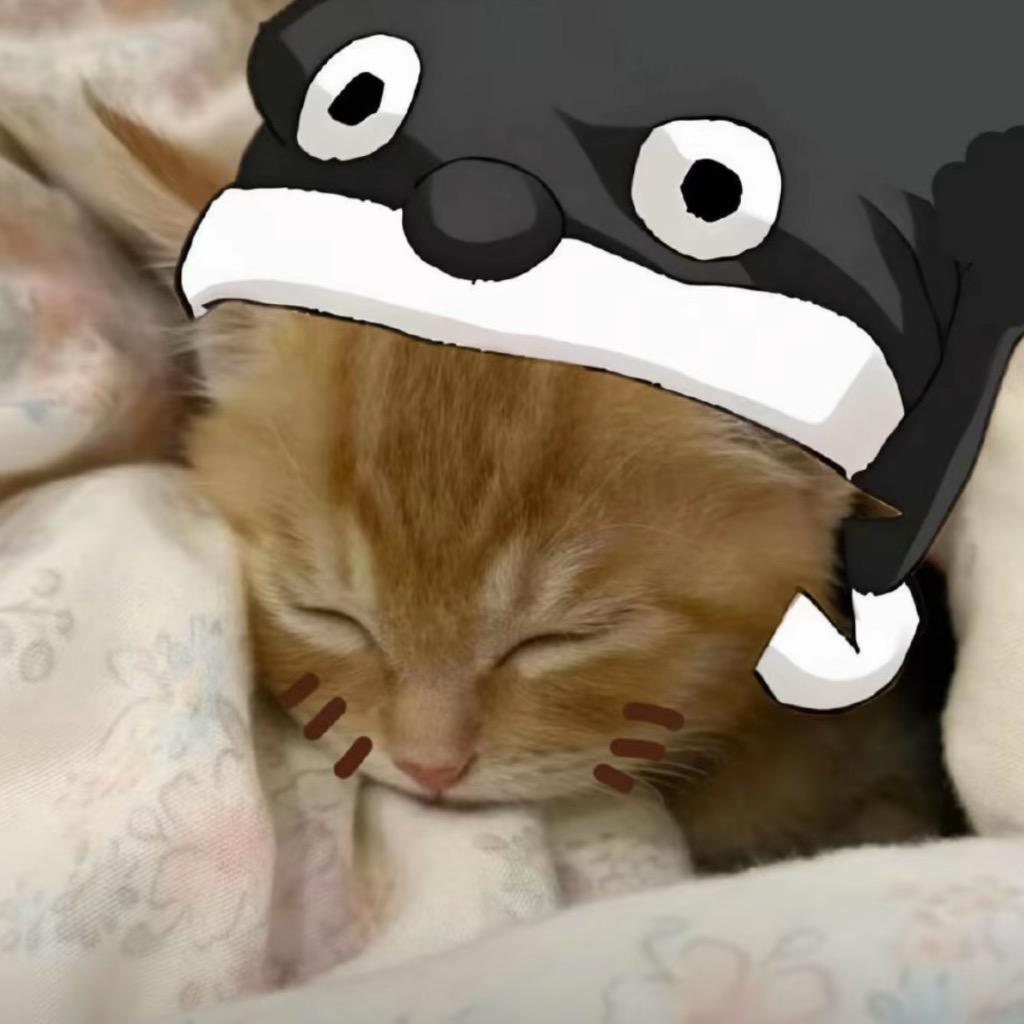 睡不着o（日常版）