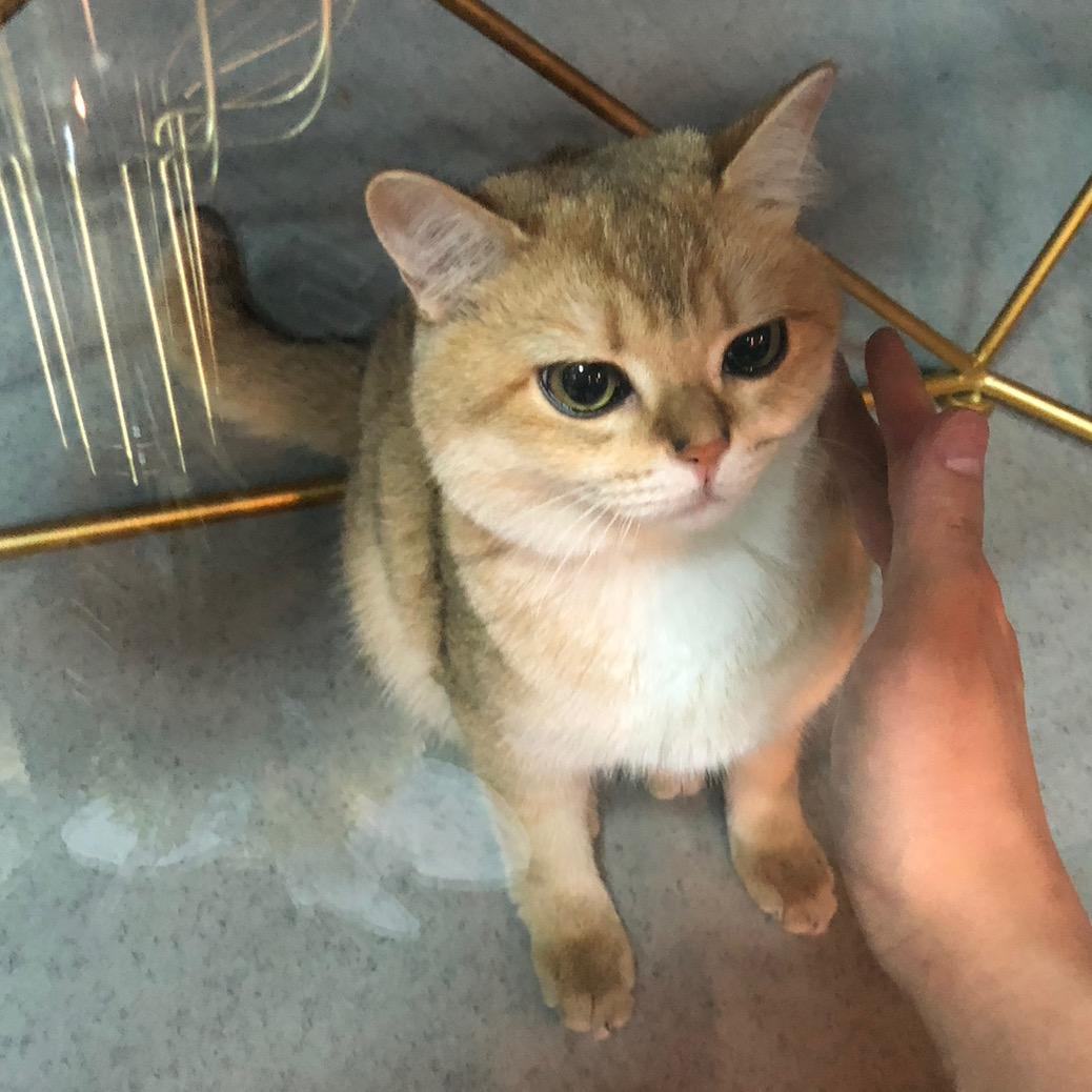 我是我妈大儿子