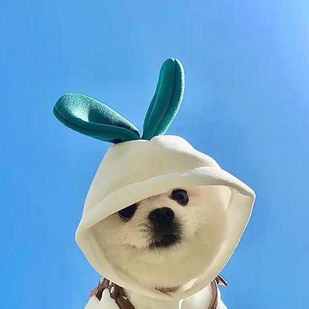 懂了都懂