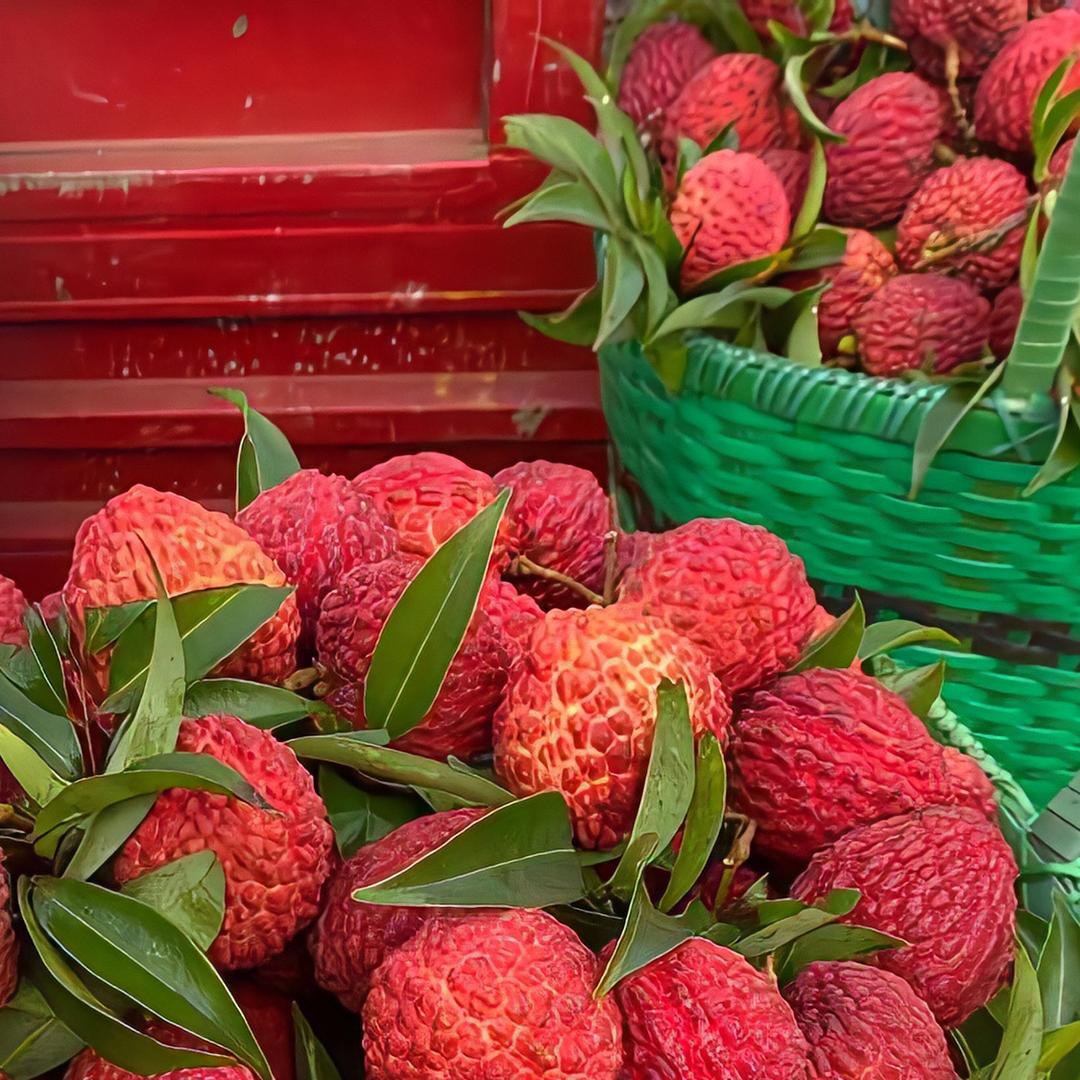 茂名乡村助农产品