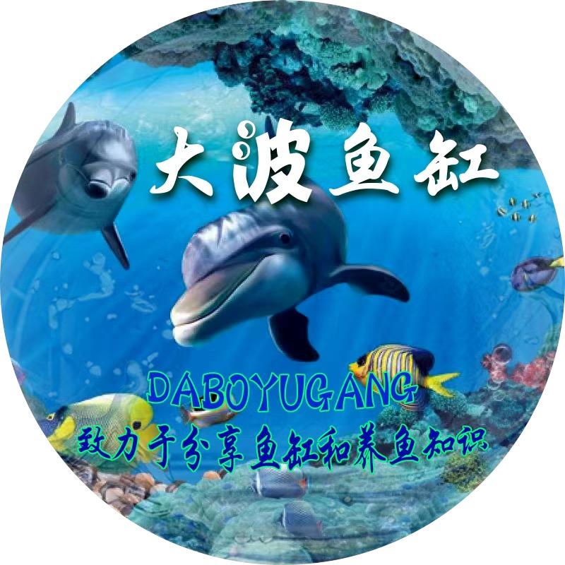 大波鱼缸