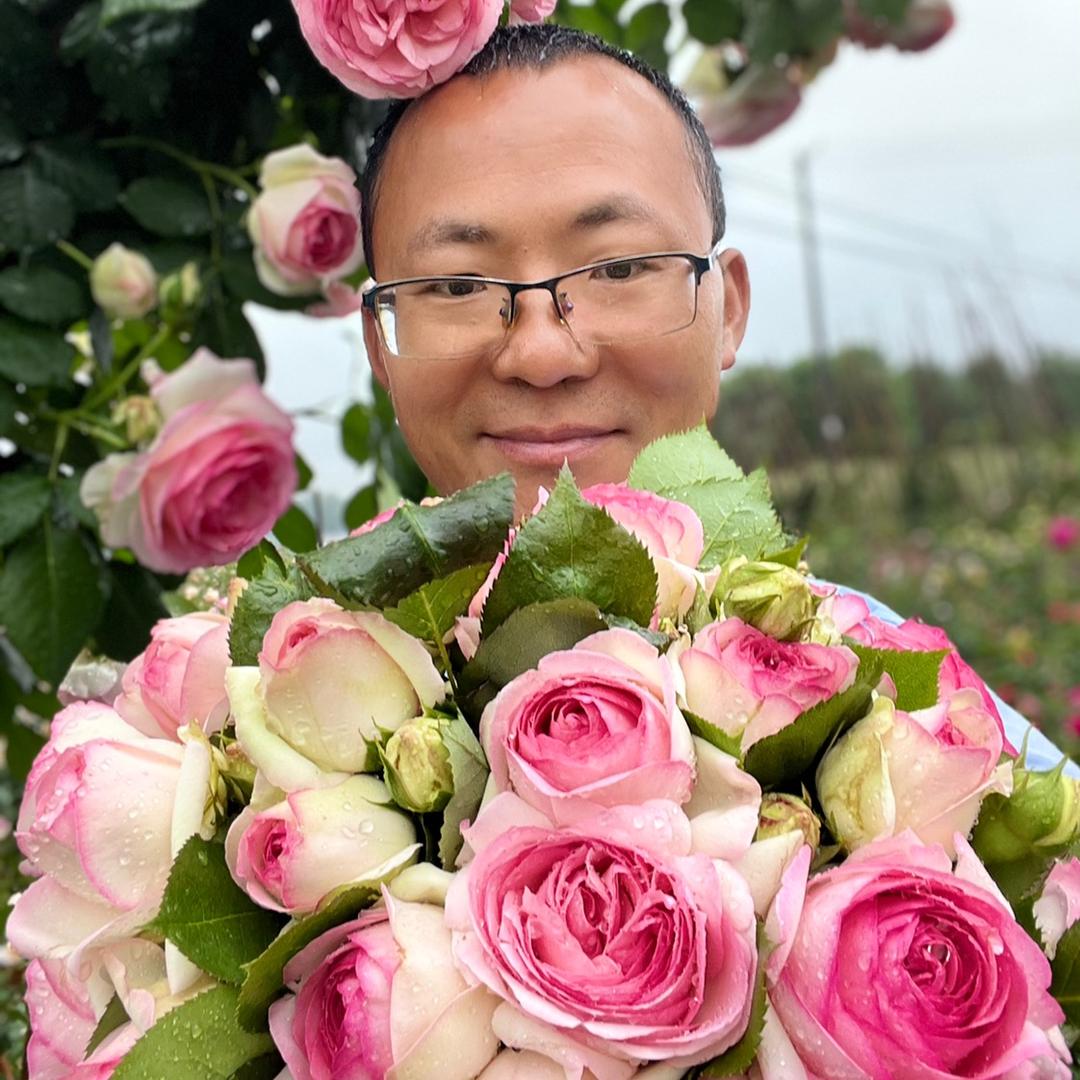 刘教授欧月铁线莲基地