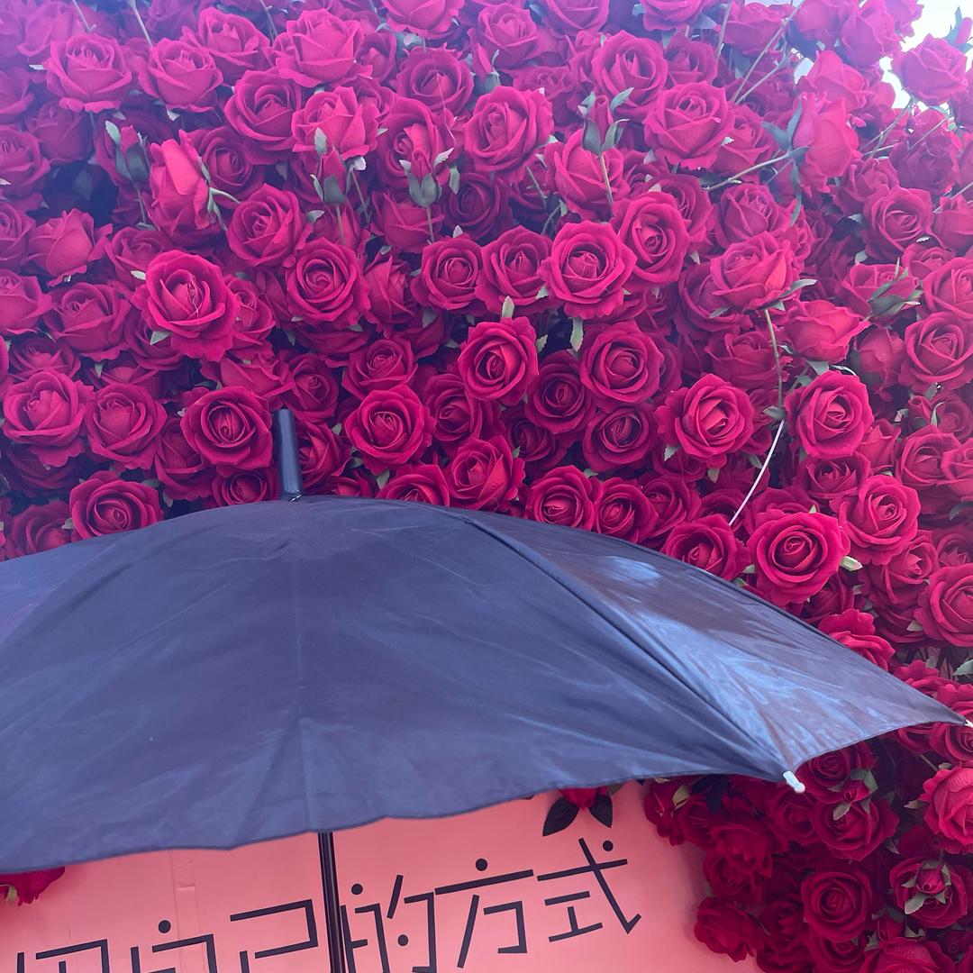🎈若只如初见🎀