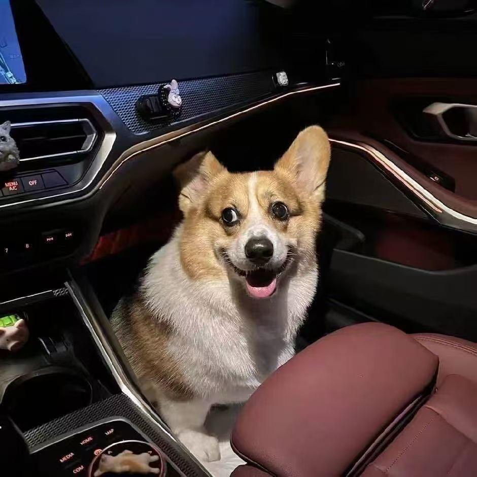 ￴￴￴ ￴￴ ￴